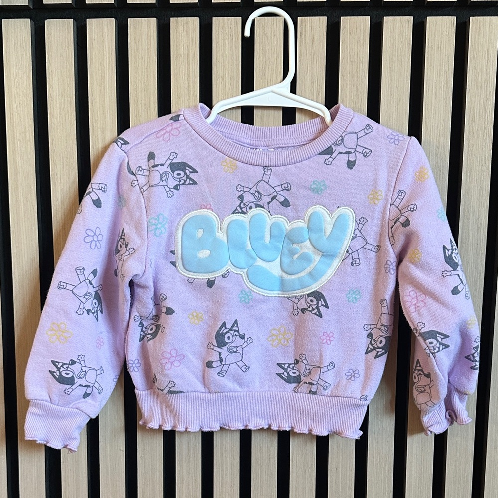 Bluey Toddler Lavender Sweatshirt / Size 2T Adorable, Ruffles